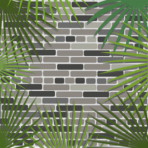 棕榈树叶在砖墙上的背景。矢量插图