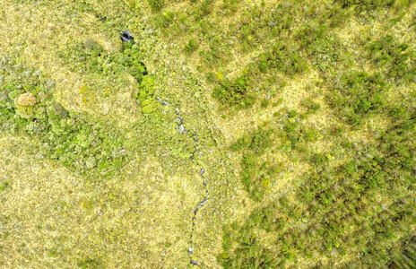 海拔高度植被科托帕希公园空中图片