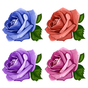 玫瑰花蕾蓝色 粉色 紫色和红色。矢量