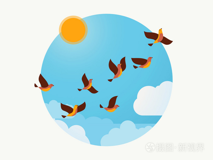 在天空中的飞鸟.矢量图
