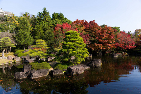 日本花园与红色枫树叶
