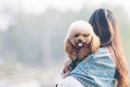 其女大师在公园玩的玩具贵宾犬