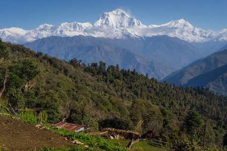 Ghorepani 村在一个美丽的早晨, 布尔纳跋涉, Pokhar