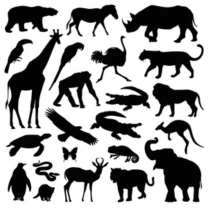 动物园动物插图集
