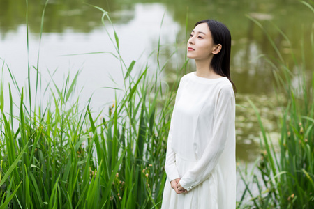 年轻漂亮的女孩，在夏天的芦苇丛中