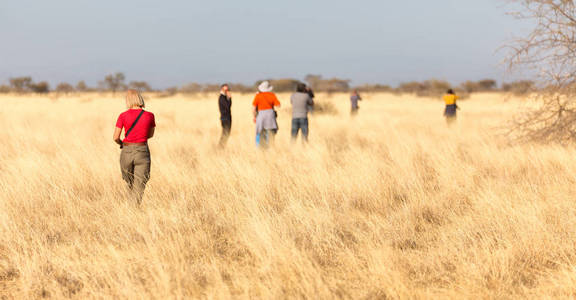 在埃塞俄比亚非洲国家公园游客寻找野生动物