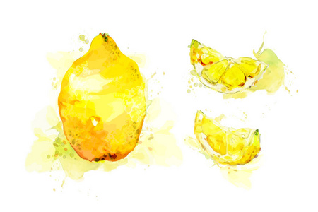 手绘水彩画柠檬
