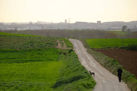 西班牙加泰罗尼亚巴塞罗那省摩勒 del 水手乡村路在绿场之间的地平线