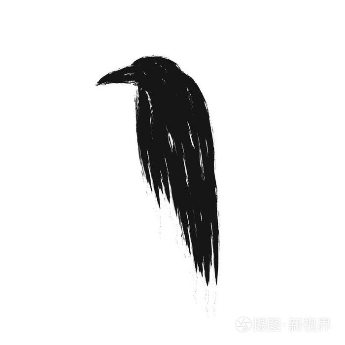 黑色乌鸦剪影在白色背景被隔绝.矢量乌鸦插画