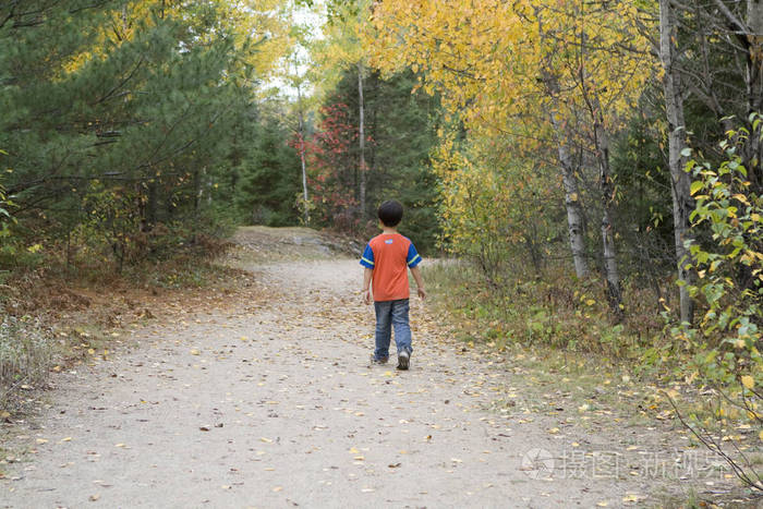 加拿大北的一个孤独的男孩在秋天的步行小径