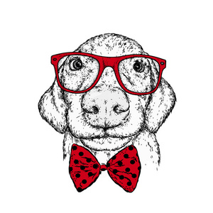 小狗戴着眼镜和领带。矢量插图为明信片或海报, 打印的衣服。在衣服和配件的血统狗