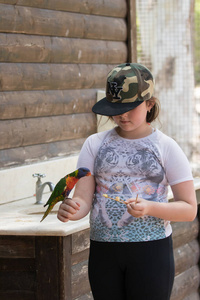 鹦鹉罗莉Loriinae坐在女孩的胳膊和吃一个苹果在 Gan 大师动物园在以色列的集体研究大卫