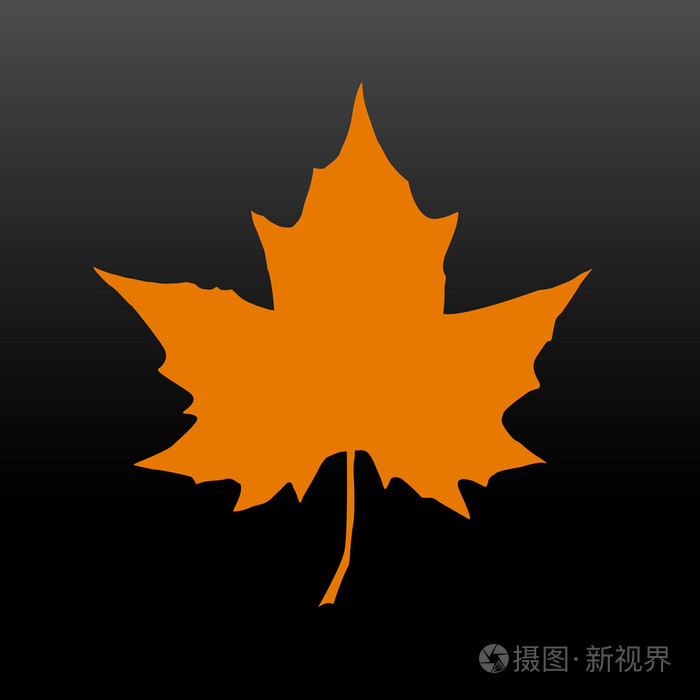 枫叶的轮廓.加拿大的象征.矢量图.eps 10