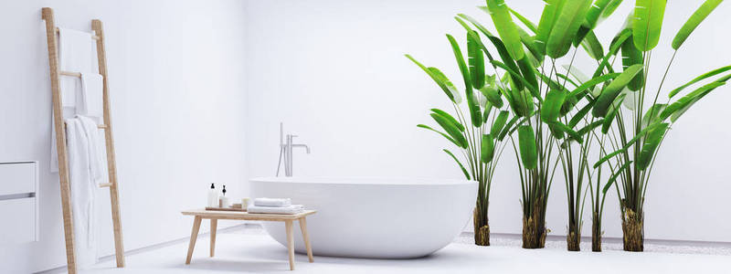 新的现代禅宗浴室与热带植物。3d 渲染