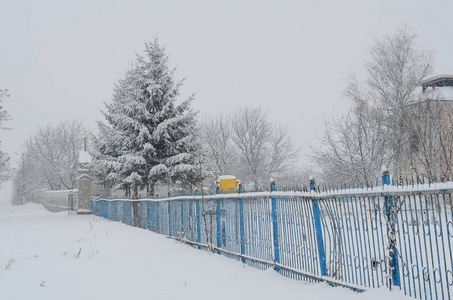 维多利亚的雪替罪羊西班牙