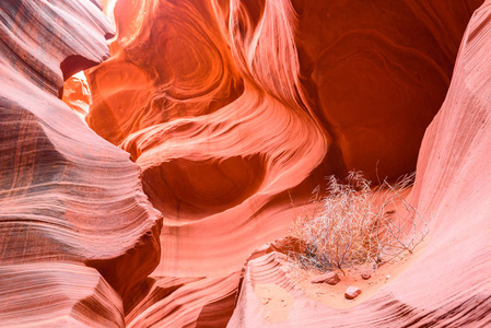 羚羊峡谷底部视图位于美国亚利桑那州附近的纳瓦霍土地上