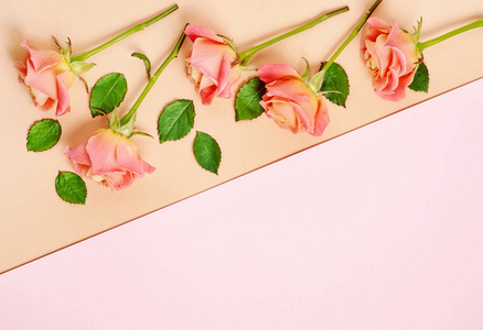 粉红玫瑰的五彩缤纷的纸背景