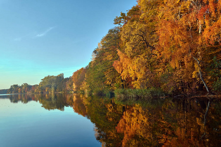 秋天的树林，在湖上，波兰