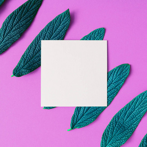 白色空白纸卡片以绿色叶子在紫色背景, 极小的夏天概念