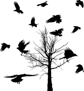 干树和乌鸦剪影