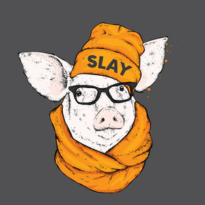 猪在一个时髦的帽子, 眼镜和围巾。明信片或海报的矢量插图。小猪在衣服和配件。动物.skotinatvarzhivotnoiezv