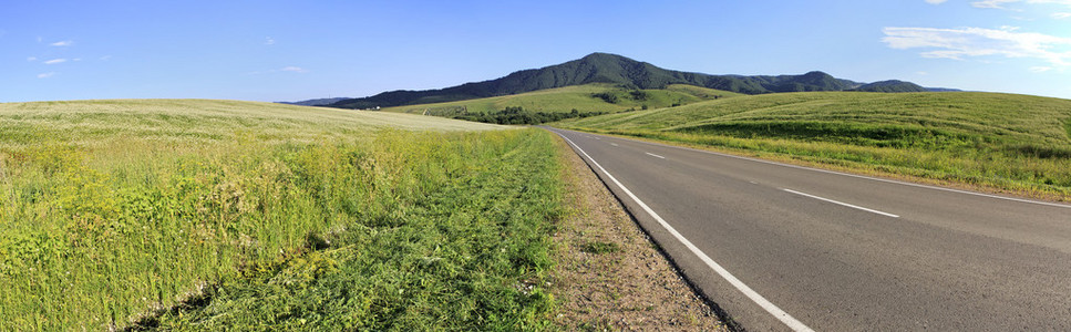 美丽的风景之间农田道路