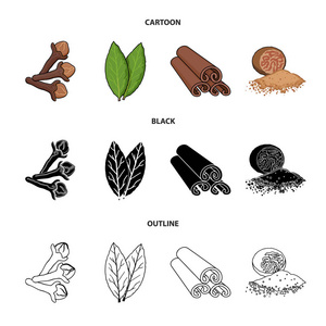 丁香, 月桂叶, 肉豆蔻, 肉桂。香草和香料集合图标在卡通, 黑色, 轮廓风格矢量符号股票插画网站