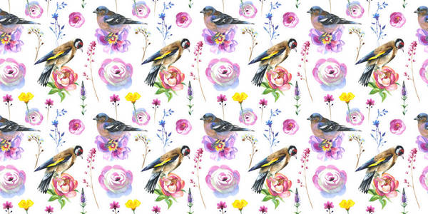 由孤立的水彩风格的野生动物图案天空鸟麻雀