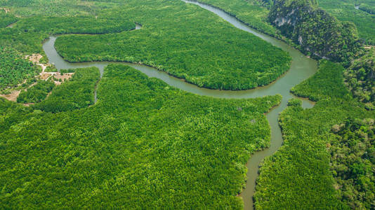 泰国甲米的树木或森林鸟瞰图