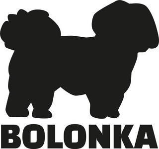 bolonka zwetna向量