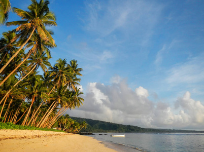 沙滩上 Taveuni 岛，斐济 Lavena 村落里