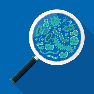 绿色细菌和放大镜在蓝色的背景矢量图