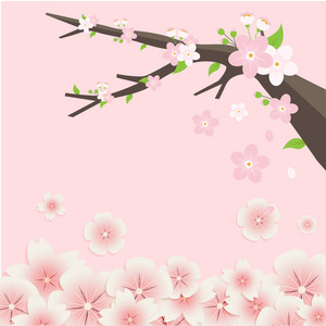 樱花树花粉红色背景矢量图像图片