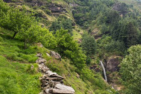 印度 Vashisht 村小瀑布和苹果园的夏季山地景观