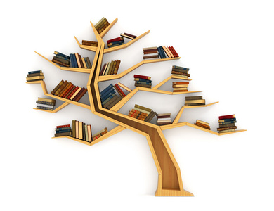 培训的概念。在目录树的形式的木制书架。科学