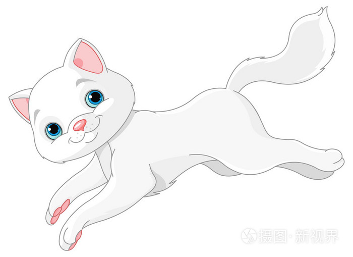 可爱的白色小猫