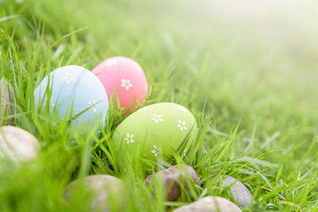 复活节快乐特写五颜六色的复活节彩蛋巢