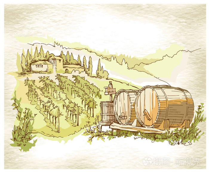 手工素描葡萄的田地和葡萄园