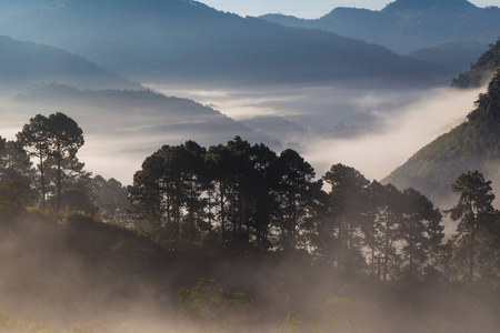 在泰国清迈上午雾山日出风景
