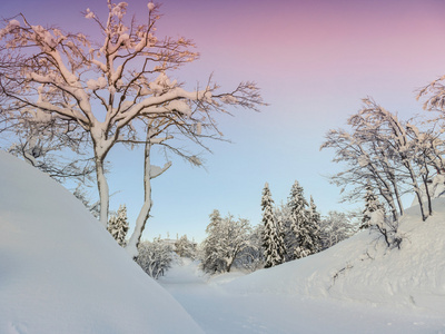 傅高义滑雪中心附近的冬季景观