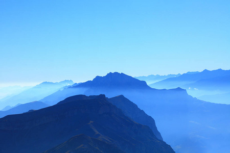 蓝山高加索