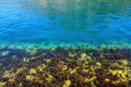 海岸与透明的水