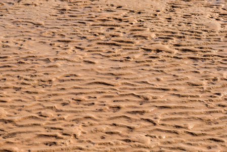 低潮海的波浪状沙质