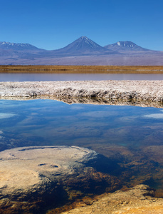 Baltinache 环礁湖，火山武，智利阿塔卡马沙漠