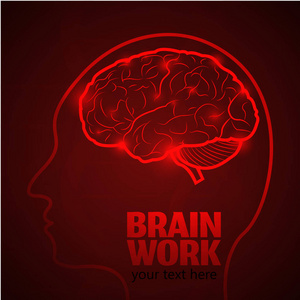 大脑工作 1