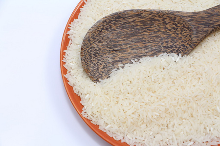 泰国水稻种子