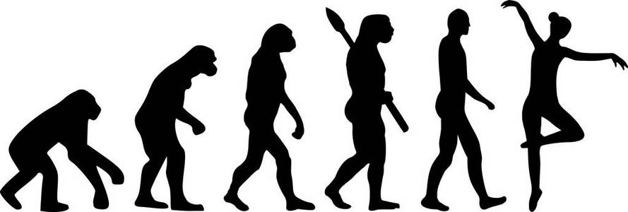 巴莱特巴利纳的进化