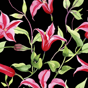 红线莲。花卉植物花。野春叶野花图案