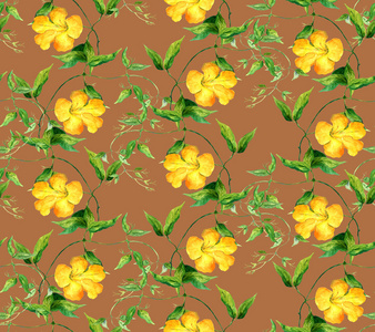 旋花黄色花。重复的花纹。水的颜色