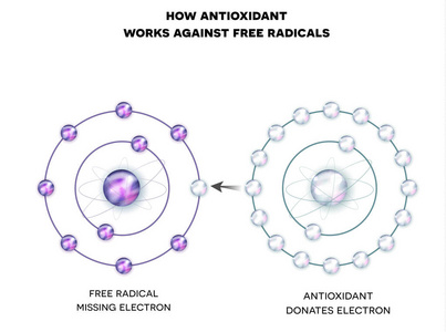 抗氧化剂对自由基的作品